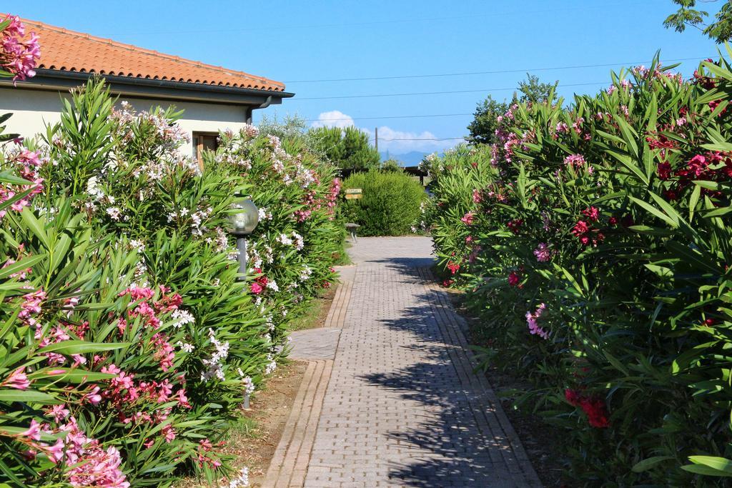 Agriturismo Gli Etruschi Populonia Luaran gambar
