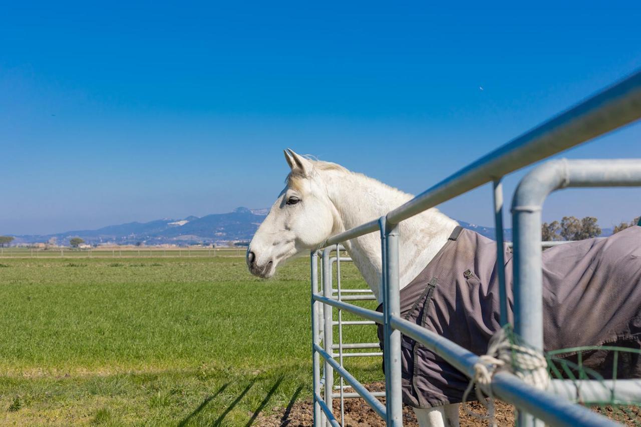 Agriturismo Gli Etruschi Populonia Luaran gambar