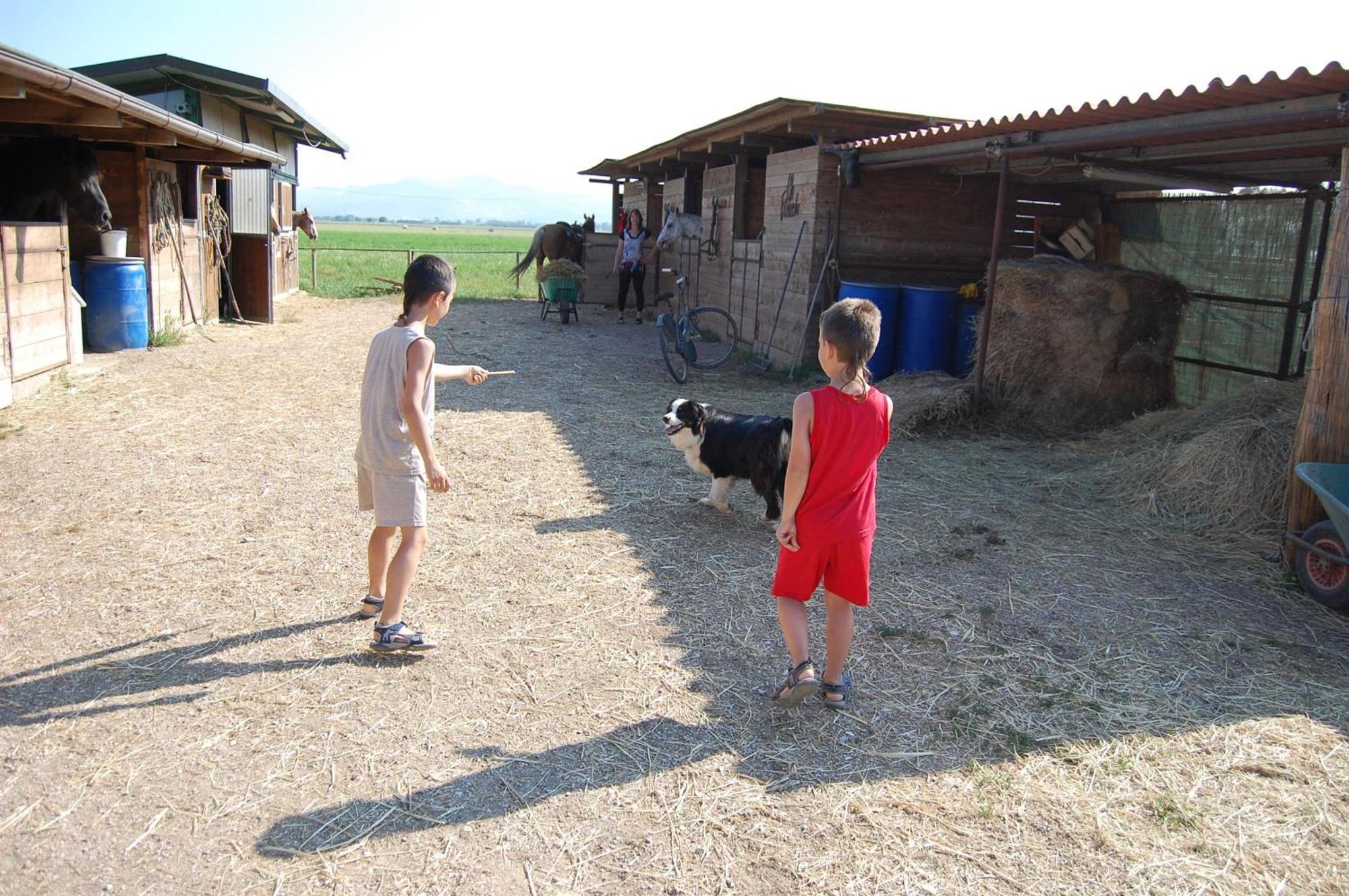 Agriturismo Gli Etruschi Populonia Luaran gambar