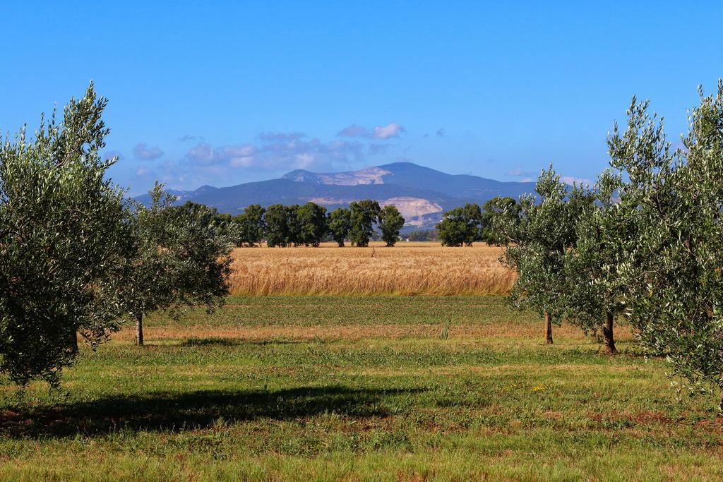 Agriturismo Gli Etruschi Populonia Luaran gambar